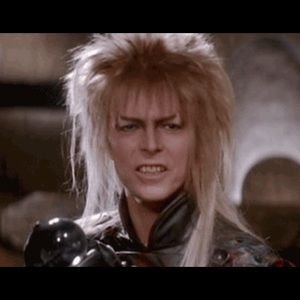 Meet your Posher, Rose